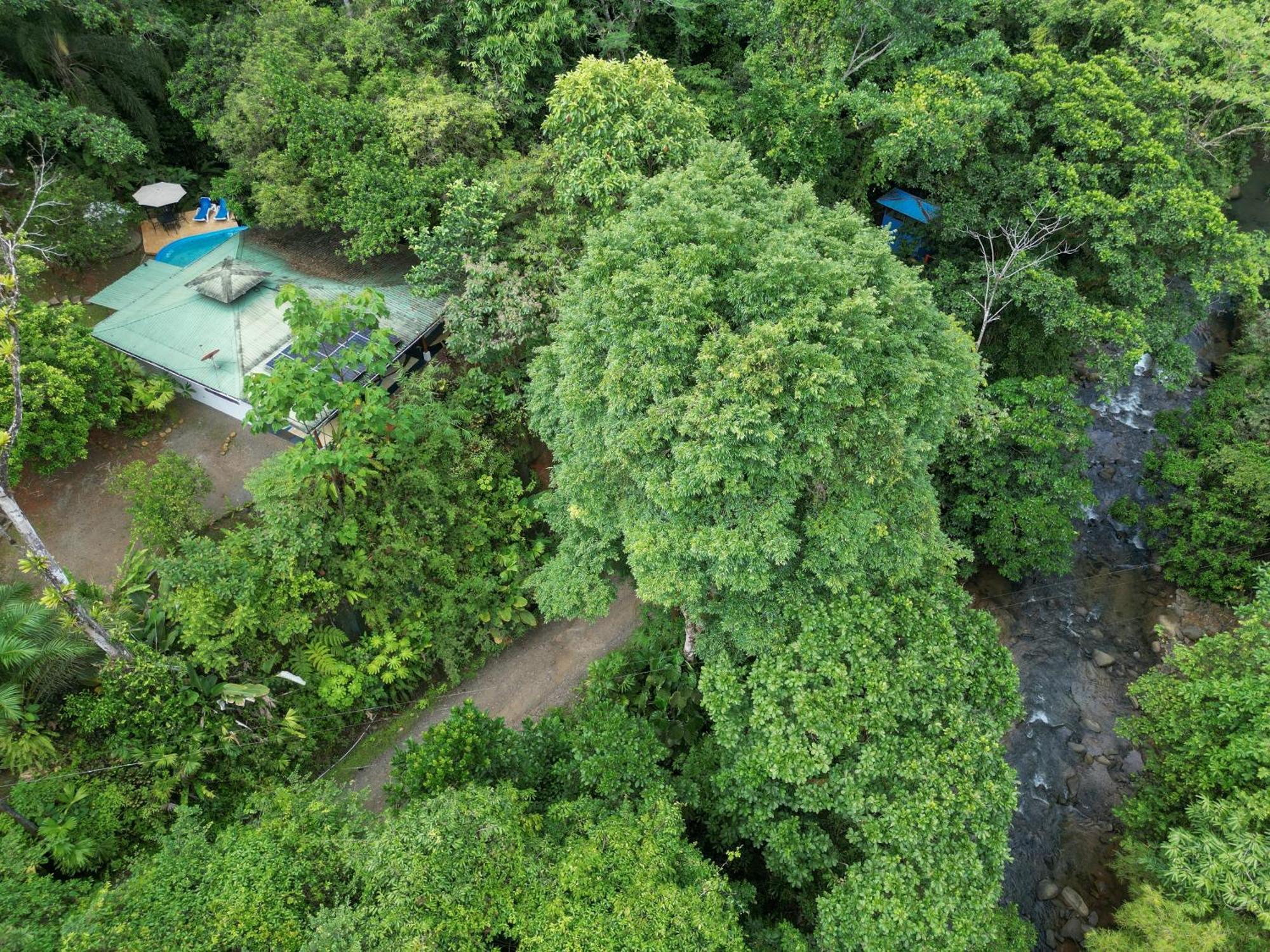 Casa Cedro - Portasol Vacation Rentals Matapalo  ภายนอก รูปภาพ