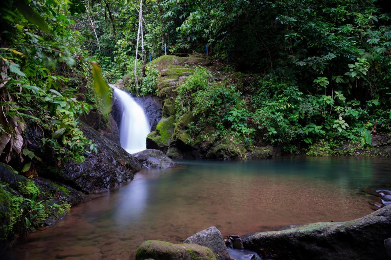 Casa Cedro - Portasol Vacation Rentals Matapalo  ภายนอก รูปภาพ