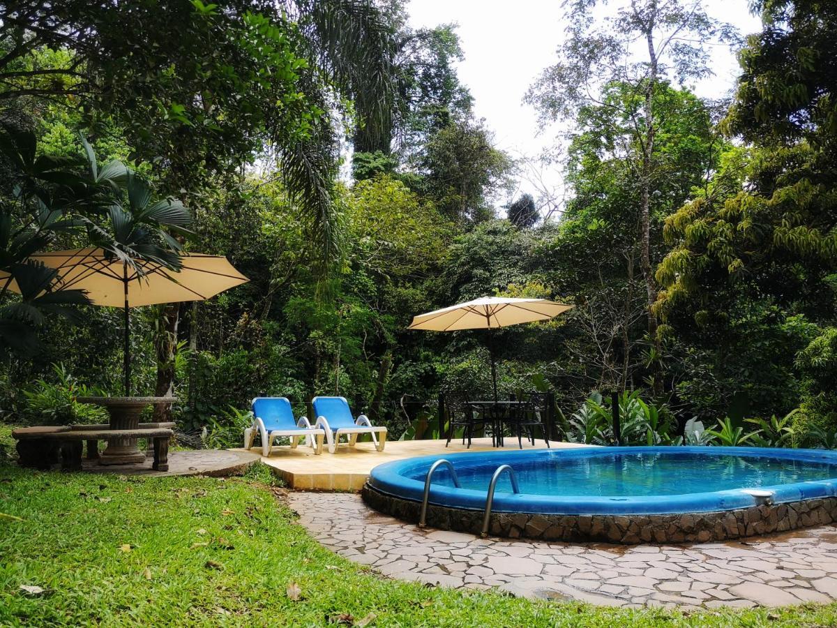 Casa Cedro - Portasol Vacation Rentals Matapalo  ภายนอก รูปภาพ